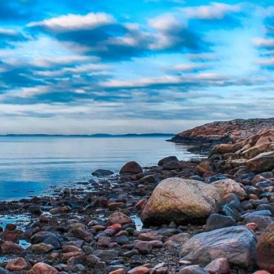 完美电竞平台app下载