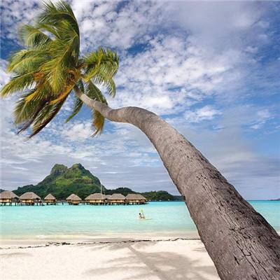 9博体育app下载官网