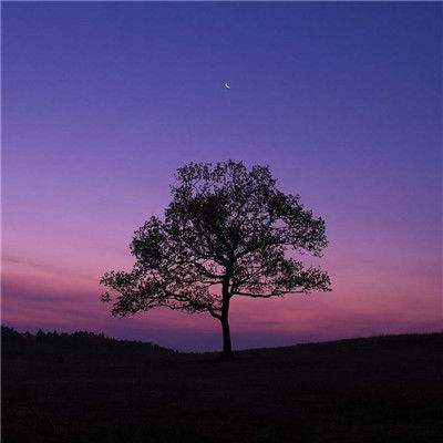 BET体育365投注官网下载手机版