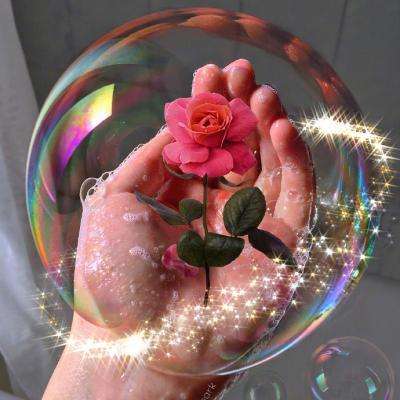 澳门王中王100%的资料下载手机版