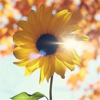 一分赛车app下载官方截图