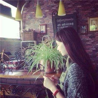 快三彩票app平台官方下载